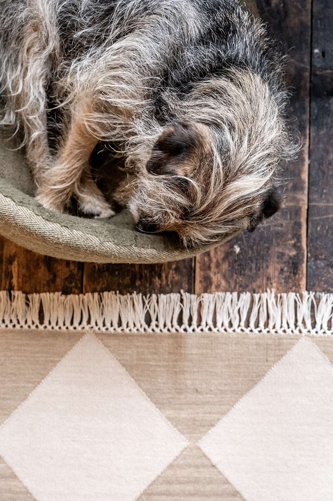 Harlequin Flatweave Rug in Mocha and Dusty Sand